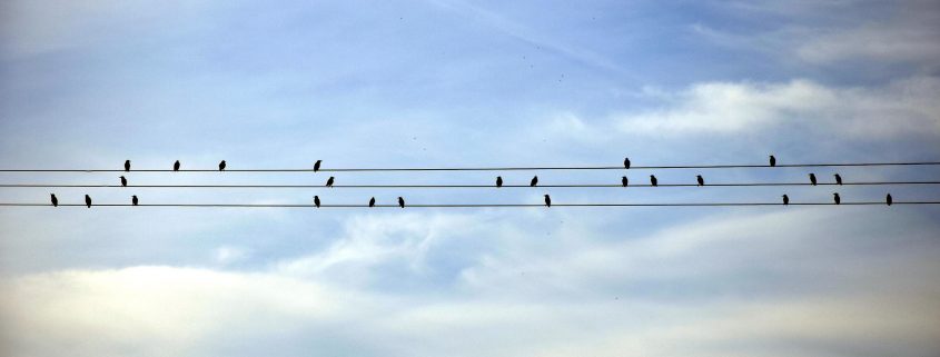 Suite de l'article "l'angoisse de la page blanche". L'improvisation ou comment jouer au gré des images, des couleurs, des événements d'un film. Blog Adélie Prod.